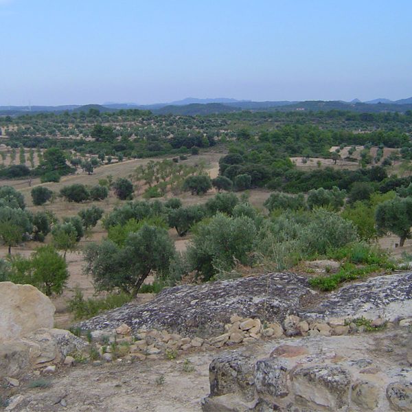 Vista del poblado íbero de Tossal Redó en Calaceite